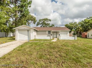 10441 Hobson St, Spring Hill, FL 34608