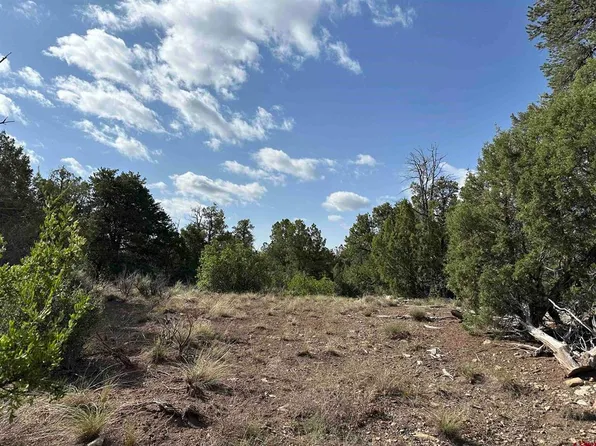 Lot 5 Green Shadows Road, Durango, CO 81303