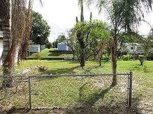 Back yard