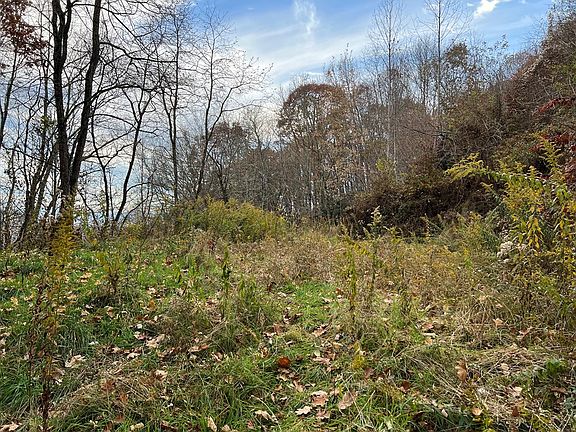 5th image of 120 Briarwood Ln Lot C9