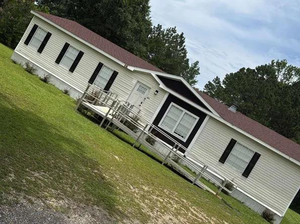 1074 Faceville Attapulgus Rd, Attapulgus, GA 39815
