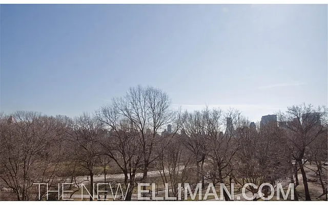 Sold by Douglas Elliman | media 23