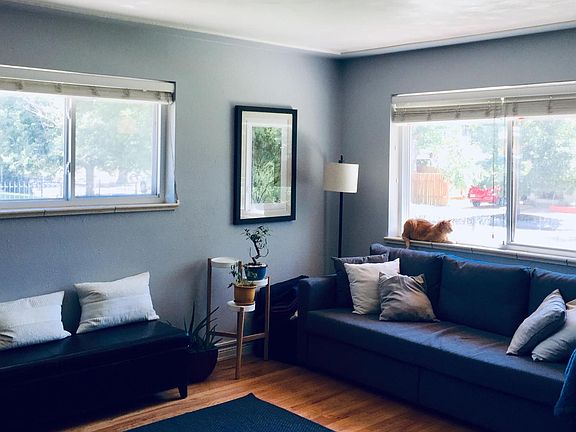 Sunny living room with ample space and light - cat not included ;)