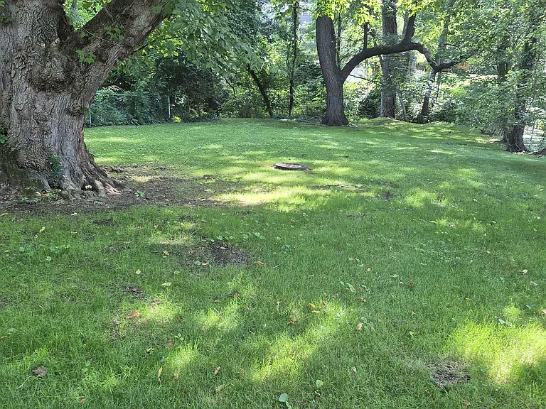 64 Murdock Ave #HOUSE — Photo 7