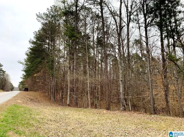 County Road 13, Heflin, AL 36264