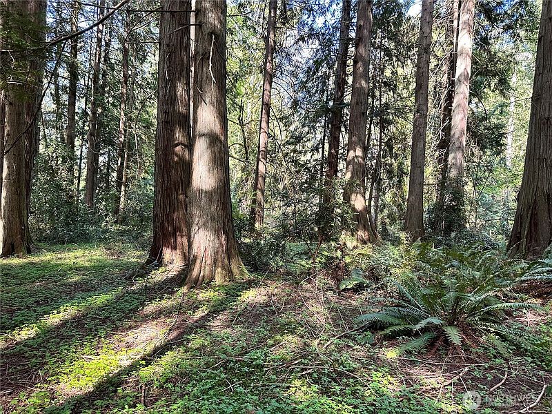 2nd image of 0 Lot 31 NW Lakeness
