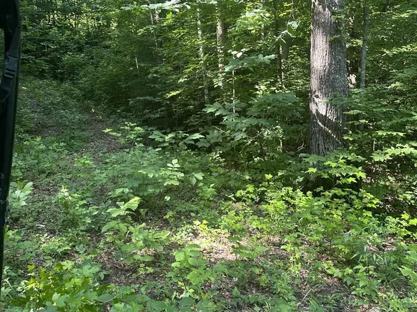 LOT 419 Grabber Ln, Wilder, TN 38589