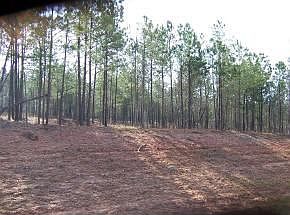 1st image of 20 Eagle Pointe