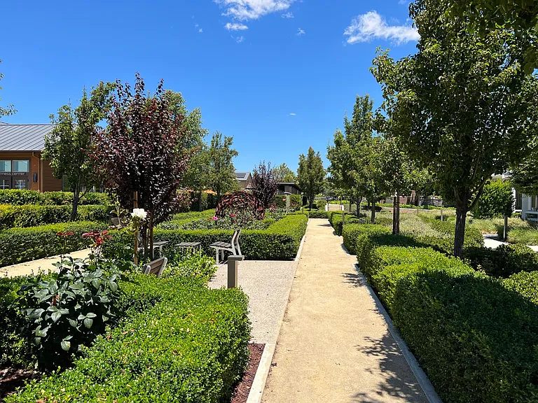 The Grounds