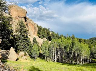 161 S Pinon Cir, Florissant, CO 80816