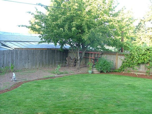 The garden and the cherry tree