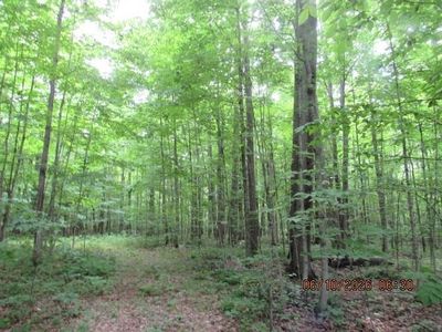 LOT 2 Anderson Rd, Potsdam NY - Owner Finance Home