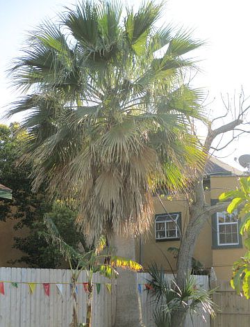 1st image of 1715 20th St