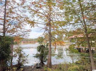 144 Bella Vista Loop, Homer, LA 71040