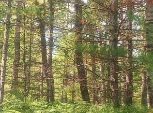 Shoreline Dr, Wolverine, MI 49799