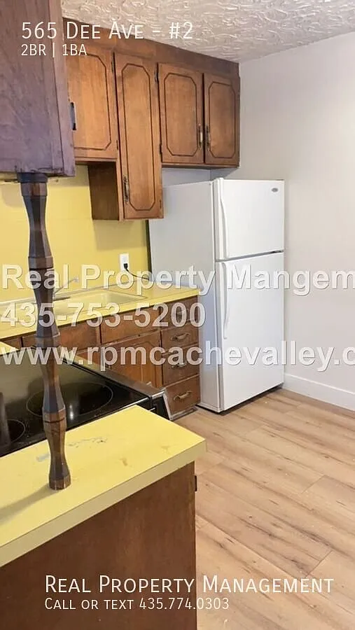 Cute 2 bed/1 bath apartment available in October! — Photo 2
