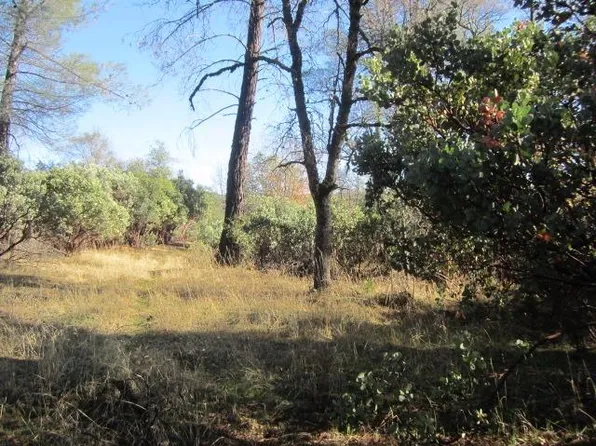 2645 Gold Ct, Placerville, CA 95667