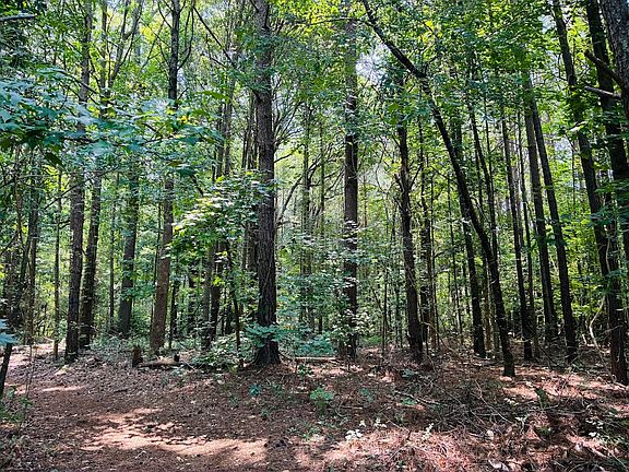 4th image of 0 Mapledale Trail 52 Lot 51