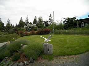 2nd image of 2566 Taft Dr