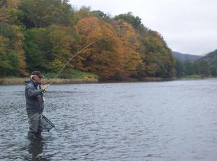 985 Winterdale Rd, Starlight, PA 18461