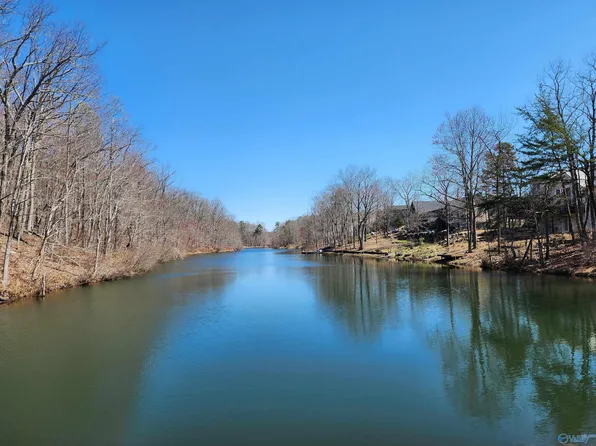 LOT 85 County Road 839, Mentone, AL 35984