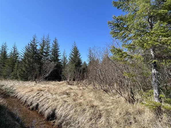 Nhn Rink Creek Rd, Gustavus, AK 99826