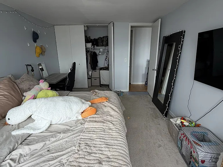 655 W Irving Park Rd #3815 — Photo 9