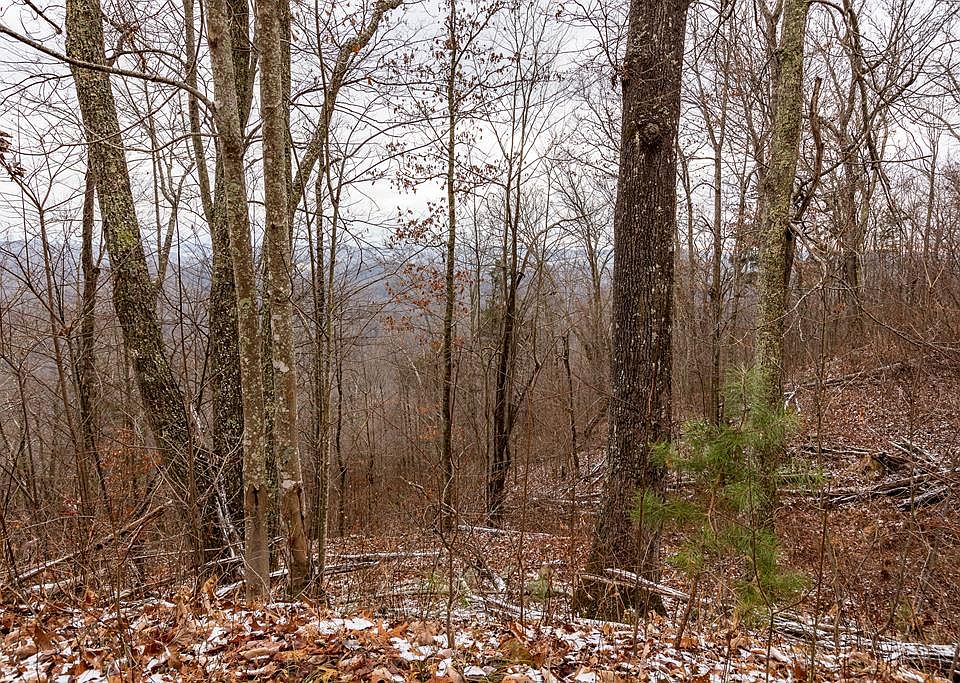 N Fork River Rd, Abingdon, VA 24210 MLS 76767 Zillow