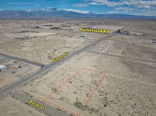 10041 S Oscar St, Pahrump, NV 89048