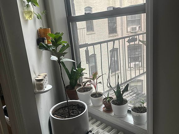 5th image of 2335 29th Ave APT 14