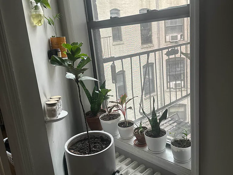 23-35 29th Ave #14 — Photo 5