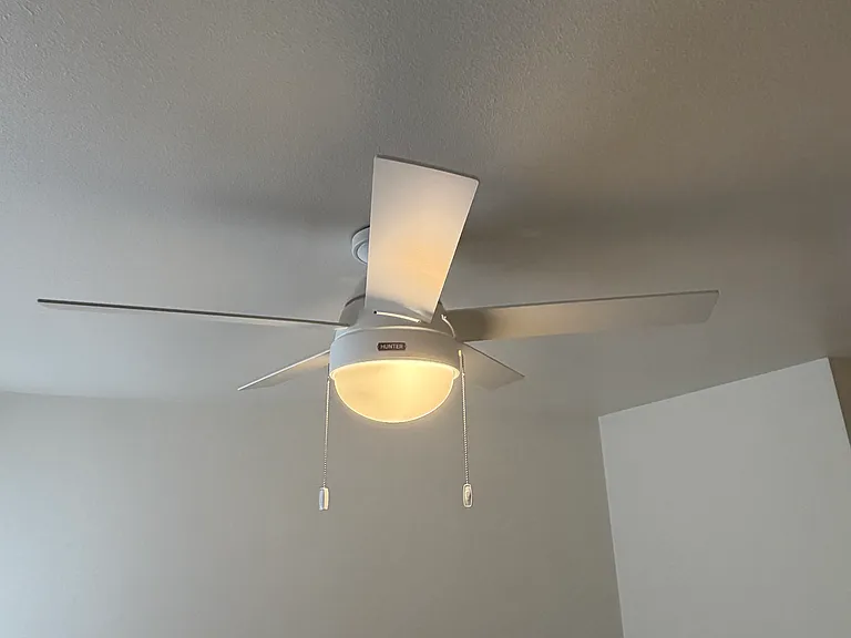 Hunter ceiling fan