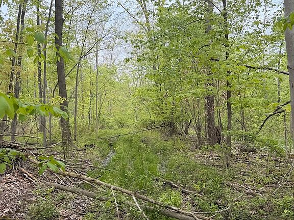 2nd image of Munson Hill Rd Lot Wp001