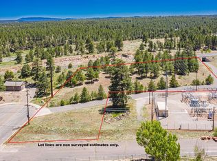 301 S Babbitt Dr, Flagstaff, AZ 86001