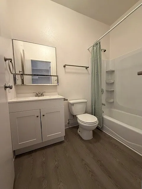 Studio, 431 sqft, $1,995 — Photo 3