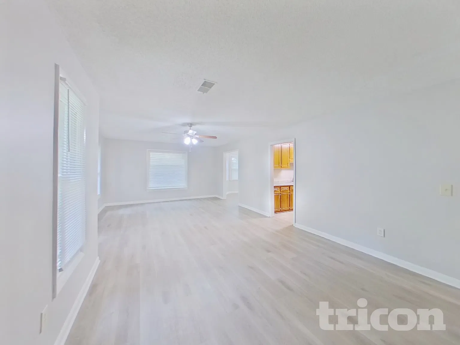 225 Holmsbury Road Irmo SC — Photo 3