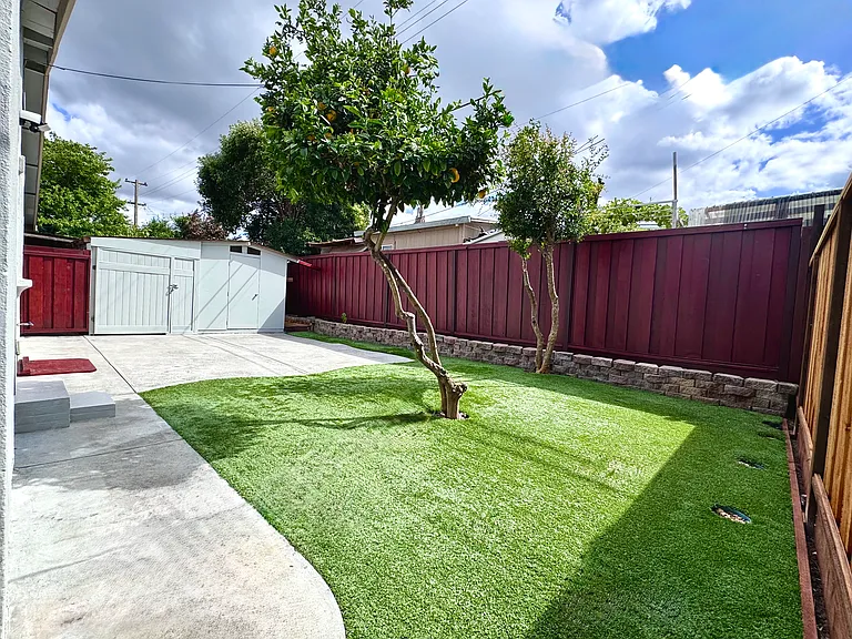 Backyard with a lemon tree and a pomegranate tree.