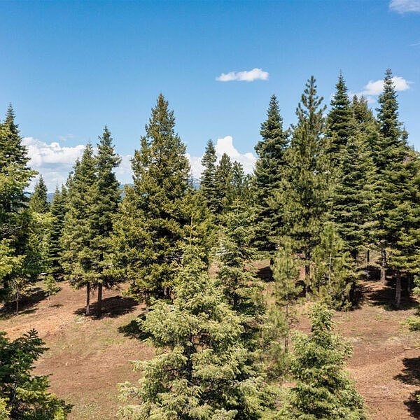 2nd image of 2 To Be Determined