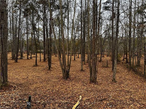 5th image of 154 Lookout Dam Rd