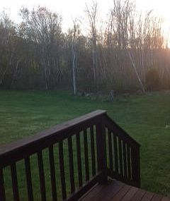 Peaceful Conservation Land