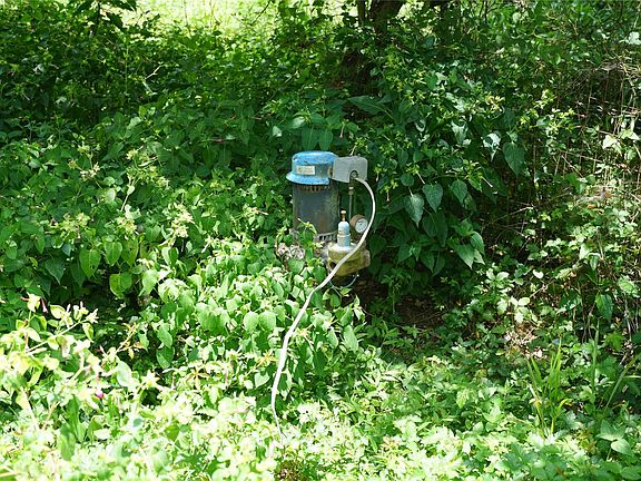 4th image of 371 County Road 379