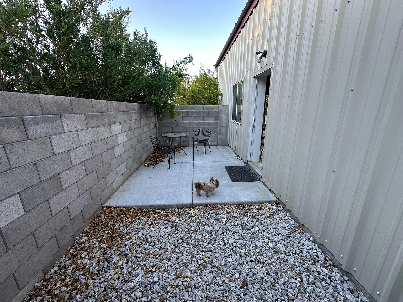 1 bed, 1.0 bath, 600 sqft, $1,590 — Photo 3