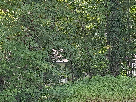 3rd image of 6567 Pine Haven Cir