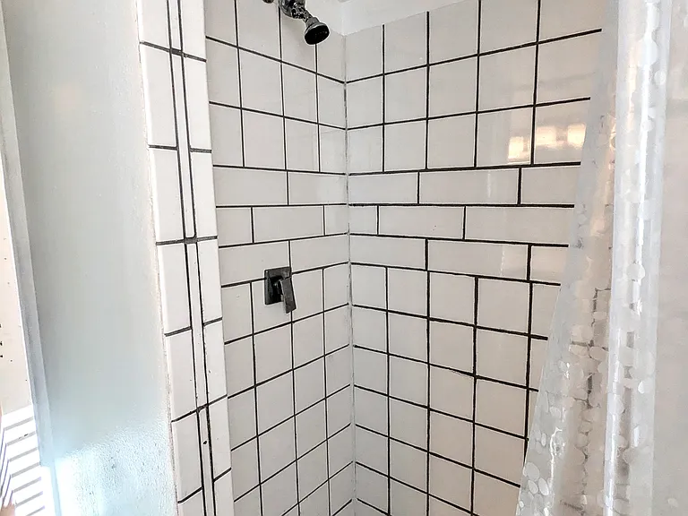 Lower Level Shower