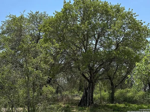165 Sanctuary Lane (Tract 3) LOT 3, Von Ormy, TX 78073