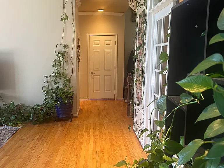Summer Pl — Photo 54