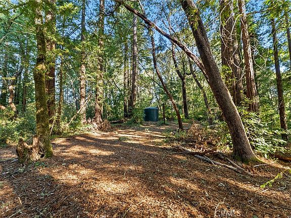 3rd image of 4419 Trout Gulch Rd