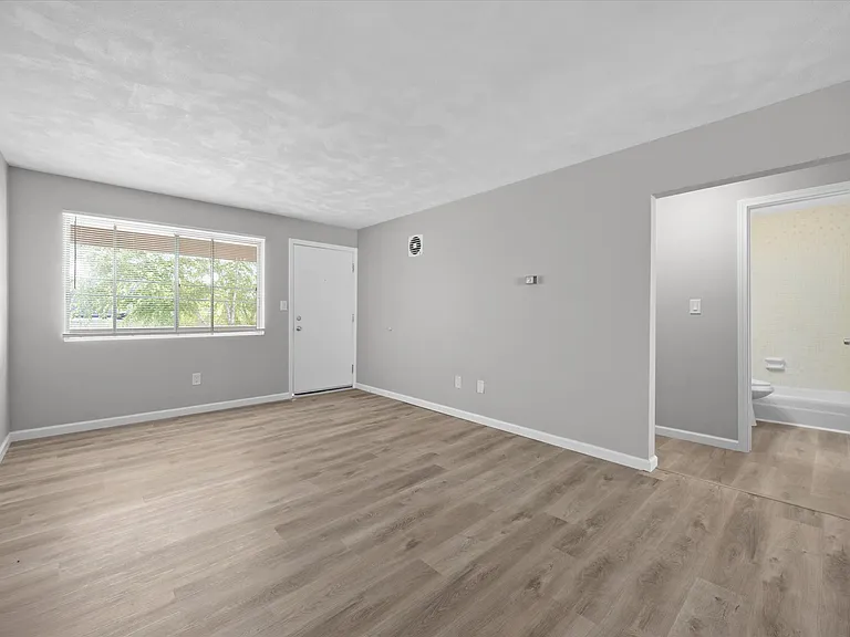 1000 Olive St #213 — Photo 4