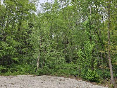 11158 Worley Dam Rd, West Olive, MI, 49460