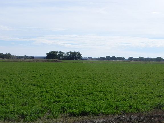 4th image of 872 Four Winds Dr